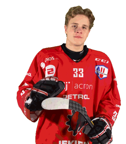 Steelers Sticker by HDD SIJ Acroni Jesenice