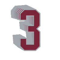 Go Broncos Sticker by Santa Clara Broncos