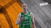 Sport Basketball GIF by Basket_fi