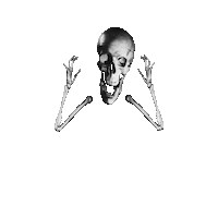 day of the dead dance Sticker by Peter Bjorn and John