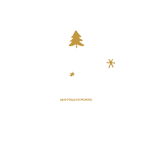 Merry Christmas Sticker by 360 Tour Toronto