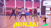 ninja ot GIF by Operación Triunfo