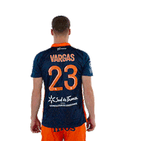 Vargas Sticker by MHSC