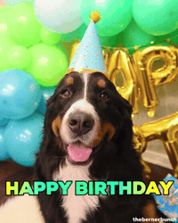 Happy Birthday GIF