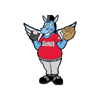 WindSurgeICT baseball aa catch windy Sticker
