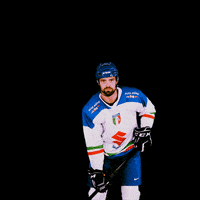 federazioneghiaccio hockey ice wintersport sportinvernali GIF