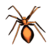 Dancing Spider Sticker