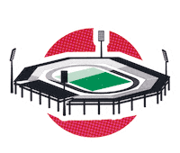 Stadion Heimspiel Sticker by 1. FC Nürnberg