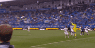 save andre blake GIF by Philadelphia Union