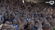 football soccer GIF by West Bromwich Albion