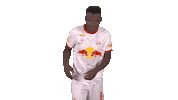 Red Bull Dancing Sticker by FC Red Bull Salzburg