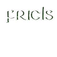 bronaghraff irishpub bronagh friels frielsbar Sticker