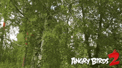 GIF by Angry Birds