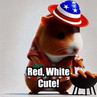 4Th Of July Bbq GIF by Guinea Gambino