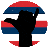 oha_hawaii vote hawaii elections election2020 Sticker