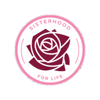 Kdchi Sticker by Kappa Delta Chi