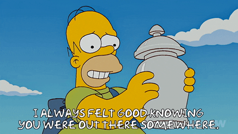 Episode 19 GIF by The Simpsons