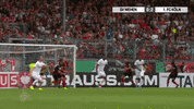1 Fc Cologne Football GIF by 1. FC Köln