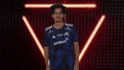 Hamburger Sv Cheering GIF by Bundesliga