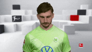 Vfl Wolfsburg Smile GIF by Bundesliga