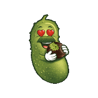 evivenutrition pickle coupdecoeur evive cornichon Sticker