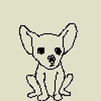 animation say what GIF by Dan Anthony Kelly