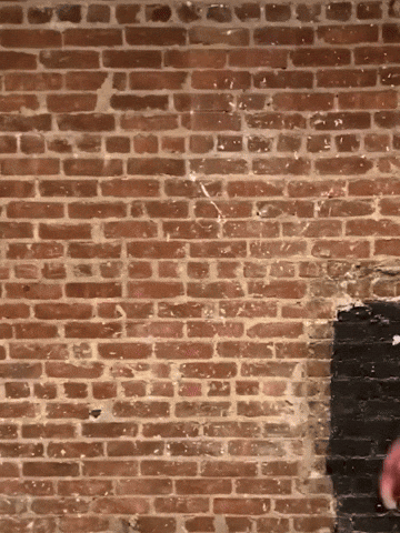 Tonight Show Laughing GIF