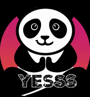 Pandamedia marketing panda agency media GIF