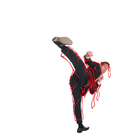 Karate Sticker by Exact Software