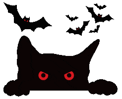 Black Cat Sticker by Bel Diniz