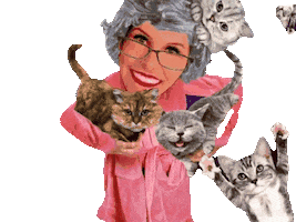 Cat Lady Sticker by TVDICASDERELACIONAMENTO