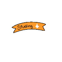 estudiesmands estudos estudo bandeira estudando Sticker
