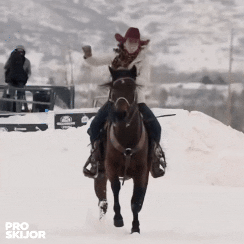 proskijor giphyupload skiing horses snowboarding GIF