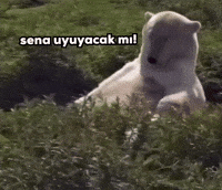 Sena GIF