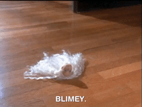 action league now nicksplat GIF