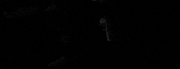 orson welles GIF