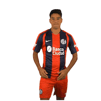 San Lorenzo Sticker by San Lorenzo de Almagro