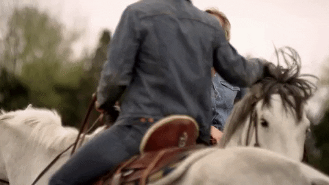 country music horses GIF by Clare Dunn