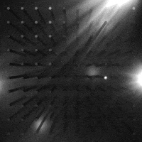 Black And White Loop GIF by xponentialdesign