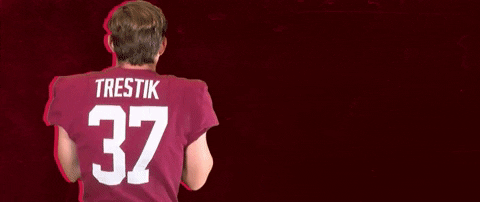 Football Roll Pards GIF by Lafayette Leopards