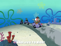 season 4 GIF by SpongeBob SquarePants