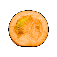 citreve citreve cherrytomato citrevecherrytomatoes freezedriedcherrytomatoes Sticker