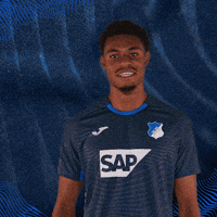 Sport Frees GIF by TSG Hoffenheim