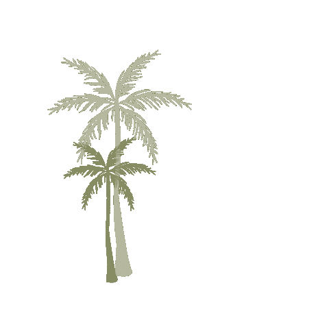 Palm Trees Tree Sticker by The New Journey