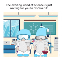 School Gnome GIF