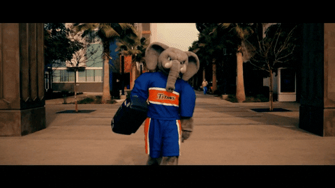 Csuf GIF by Cal State Fullerton