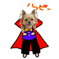 あずきすたんぷ Sticker