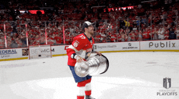 Stanley Cup Playoffs Win GIF by NHL