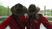 Canadian Please GIF by Corey Vidal