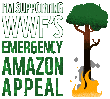 Amazon Wwf Sticker by WWF_UK
